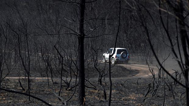 Un escape de un tractor causó el incendio de Monforte en el que ardieron 706 hectáreas