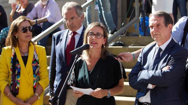 Las luces que irritan a Abel Caballero