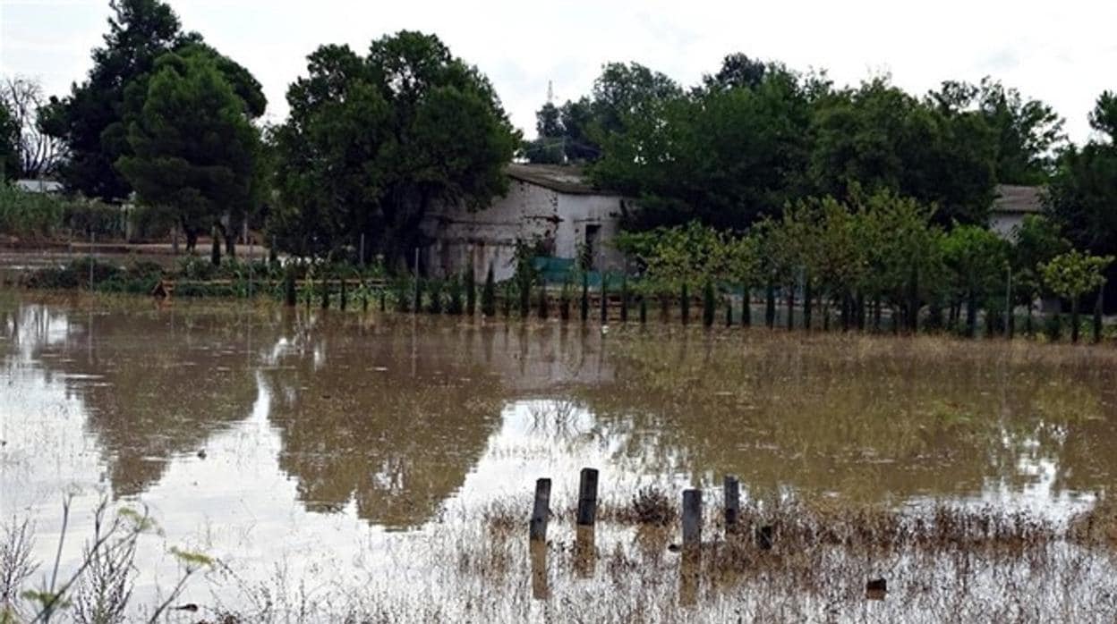 Una de las zonas anegadas a causa del temporal de gota fría en Albacete