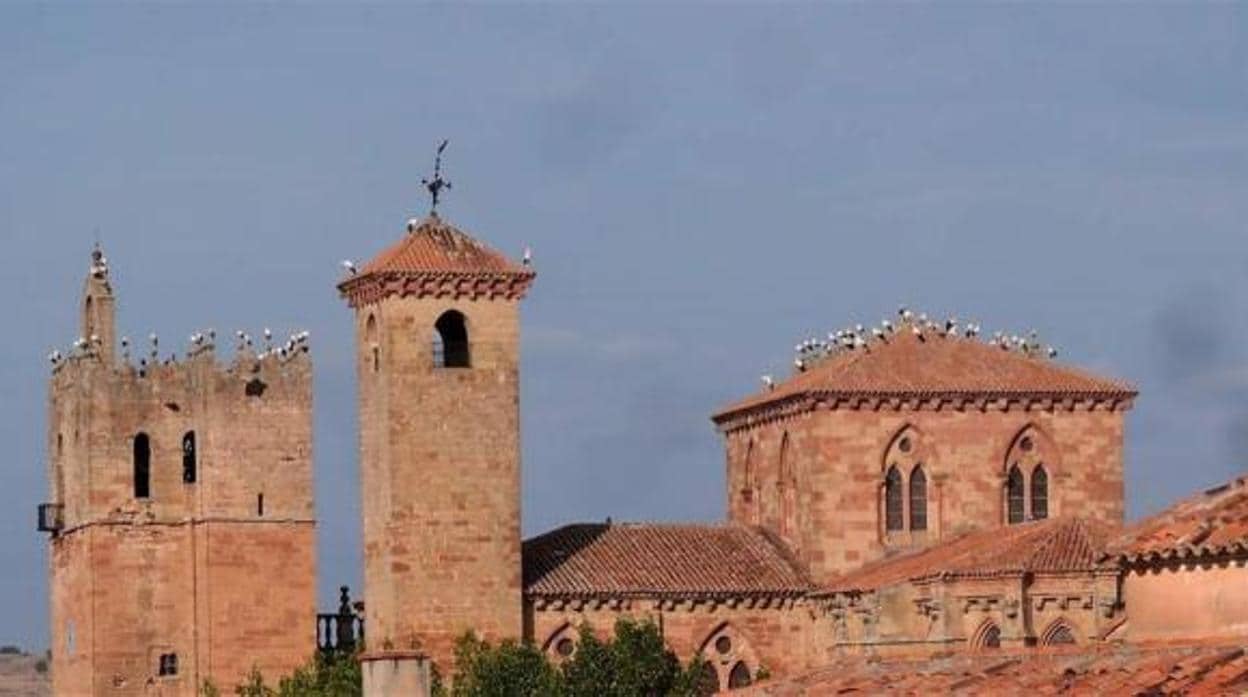Un gran número de cigüeñas posadas en los tejados de la catedral de Sigüenza