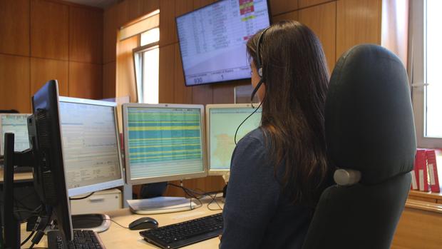 Fallece tras caerle encima un árbol que estaba talando