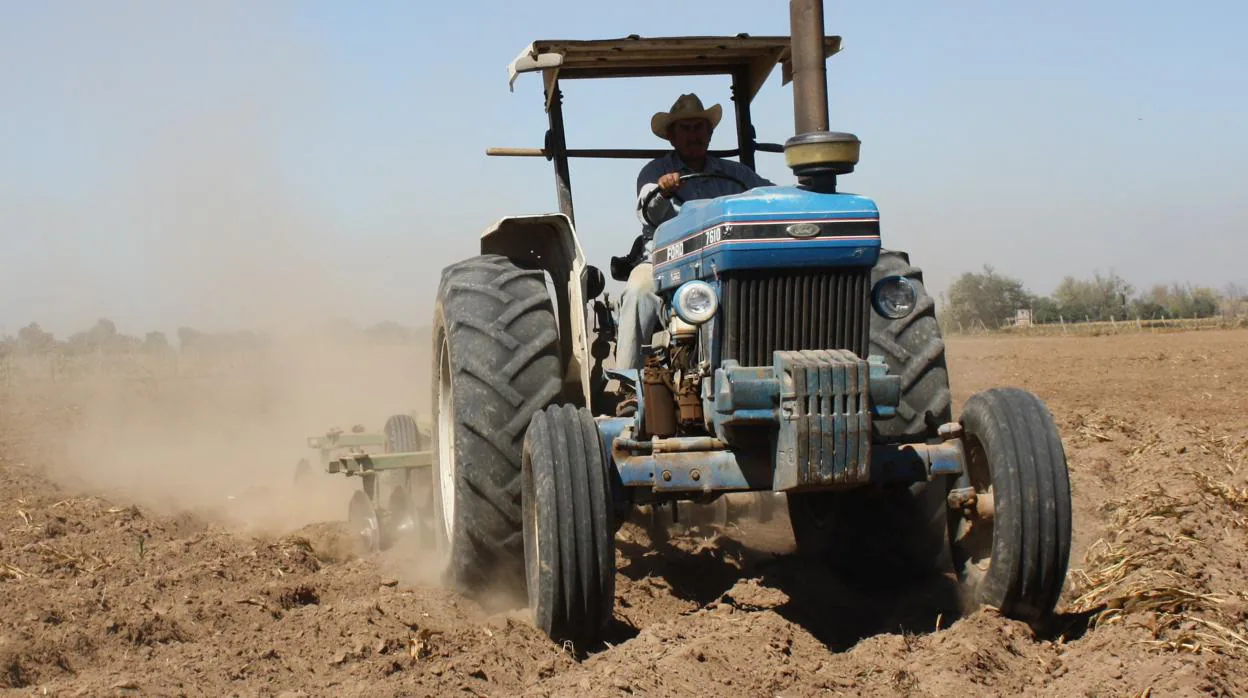 Imagen de archivo de un hombre a los mandos de un tractor
