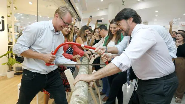 Alicante pone fin a los «desencuentros» con Ikea y se abre la primera tienda de la multinacional sueca