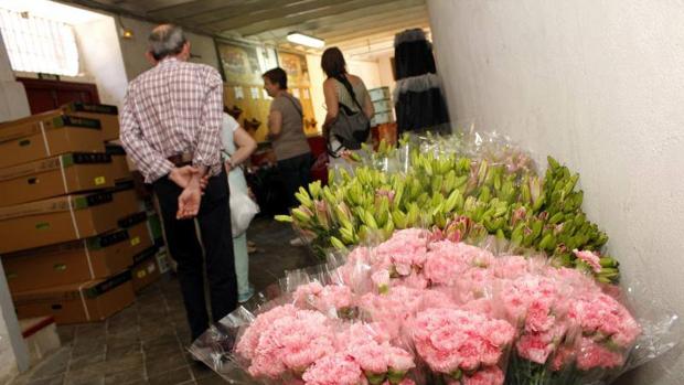 El sábado se inaugura en el jardín de San Lucas el I Mercado de Flores de Toledo