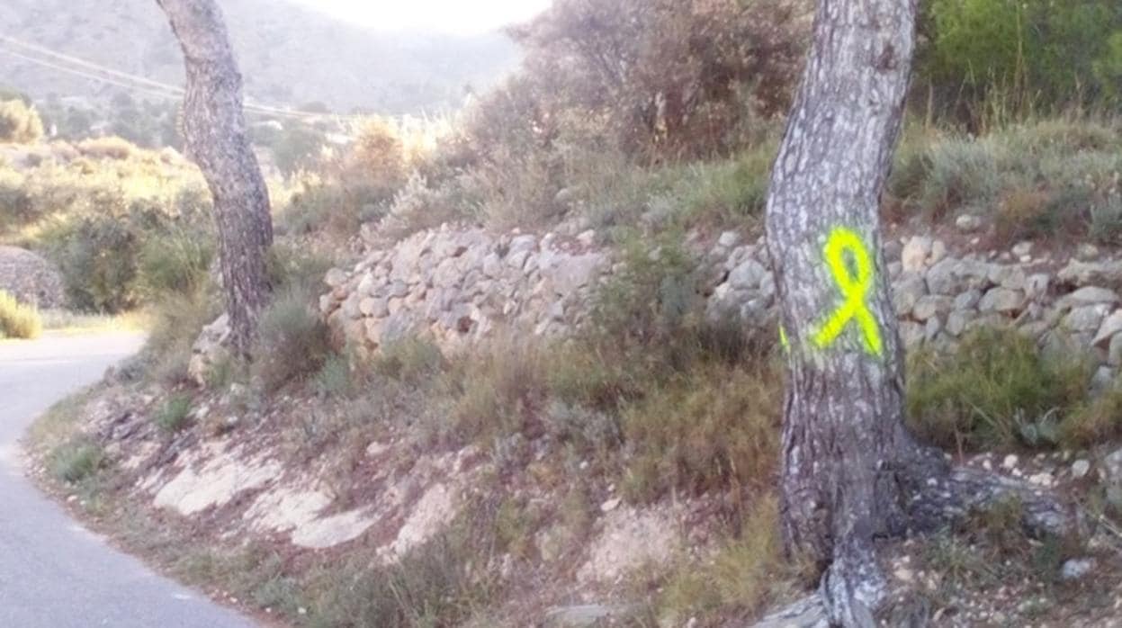 Imagen de un pino en la Sierra del Cid manchado con un lazo amarillo difundida por Ciudadanos en sus redes sociales