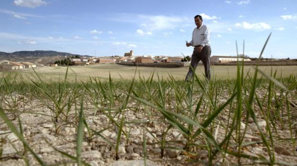 Imagen de archivo de un agricultor castellanomanchego trabajando en su cultivo