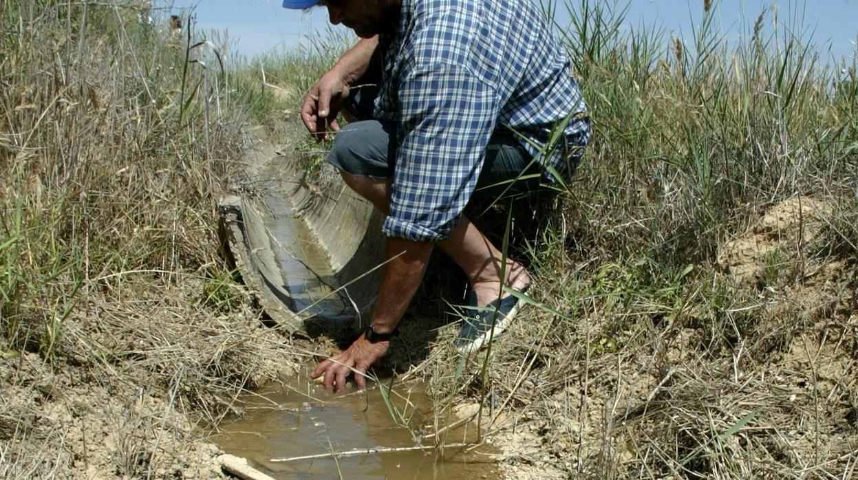 La escasez de agua afecta, sobre todo, al norte de Aragón