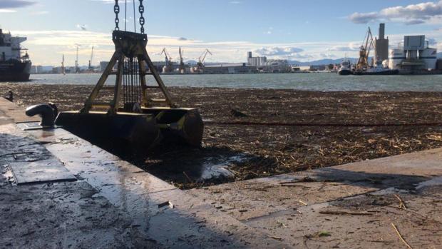 Encuentran en el Puerto de Tarragona el cadáver de uno de los cinco desaparecidos por el temporal