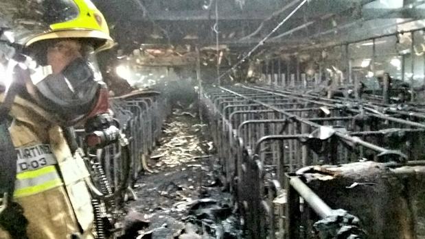 Un incendio mata más de 20 cerdos en una granja de Tarazona
