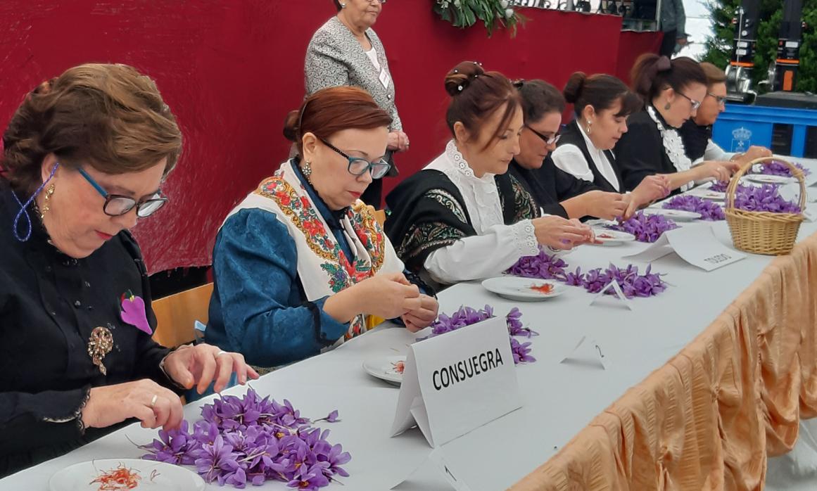 Concurso Nacional de Monda de Rosa del Azafrán, este domingo