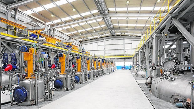 Biotecnología: Tres líneas de futuro