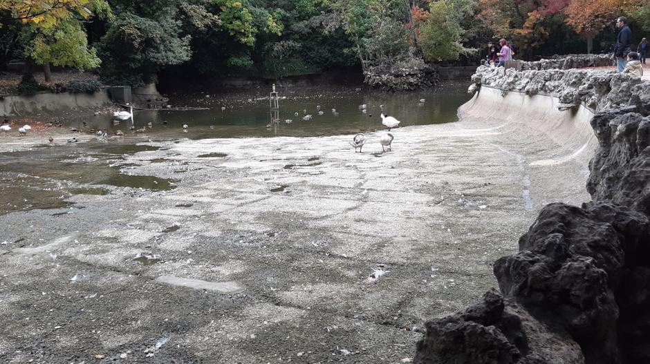 El estanque de Campo Grande «sorprende» sin agua a sus visitantes