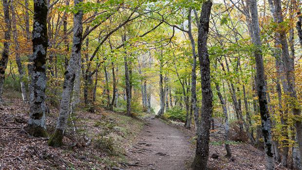 El parque Tejera Negra recibe 10.000 visitantes desde que se declaró Patrimonio de la Unesco