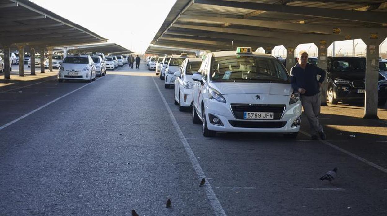 Taxis, en una foto de archivo