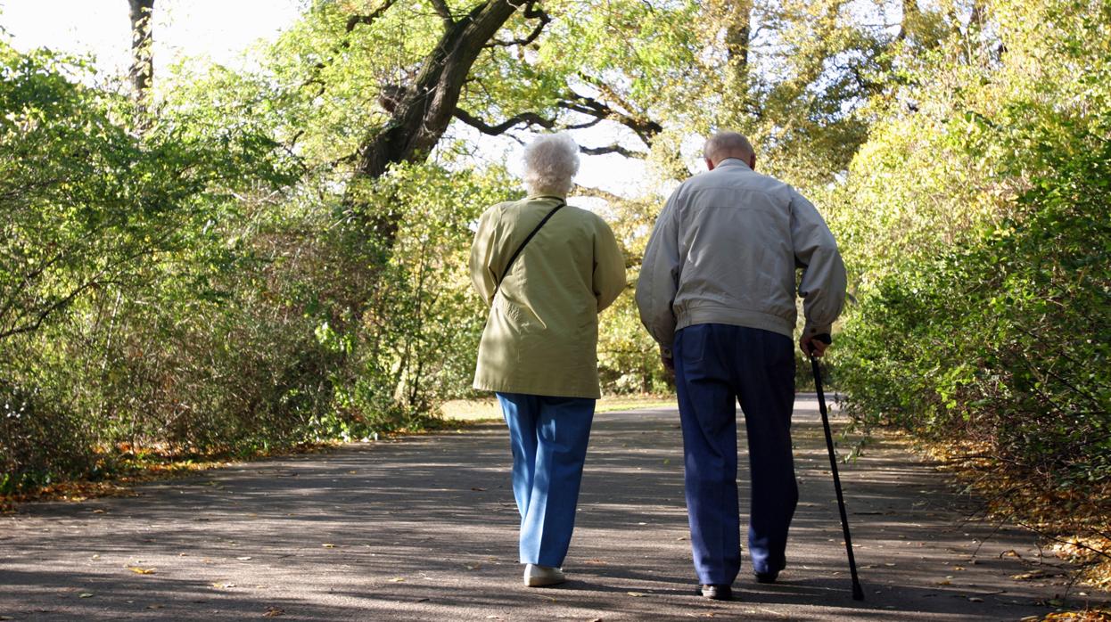 Los detenidos se acercaban de forma cariñosa a los ancianos y aprovechaban para robarles las joyas