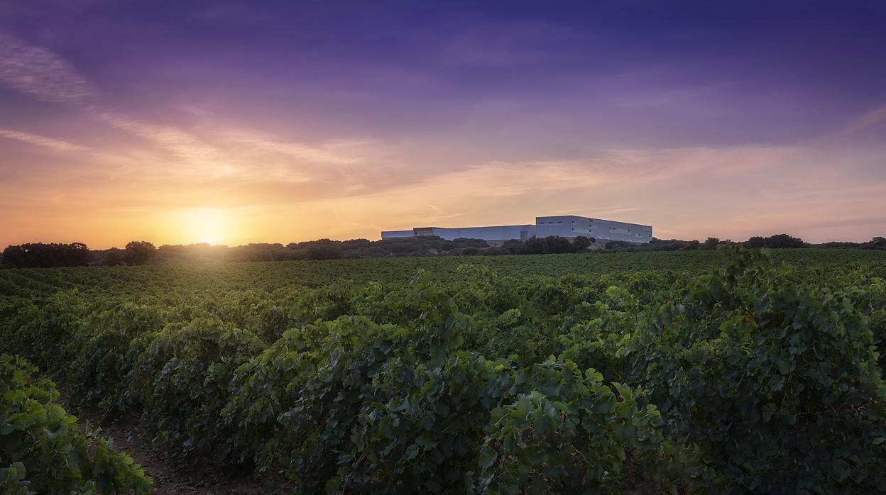 Una de las parcelas de Finca Antigua, con la bodega al fondo, en Los Hinojosos (Cuenca)