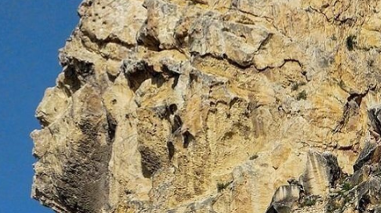 La petición de firmas se ilustra con una una foto de la cara del moro, en el Castillo de Santa Bárbara