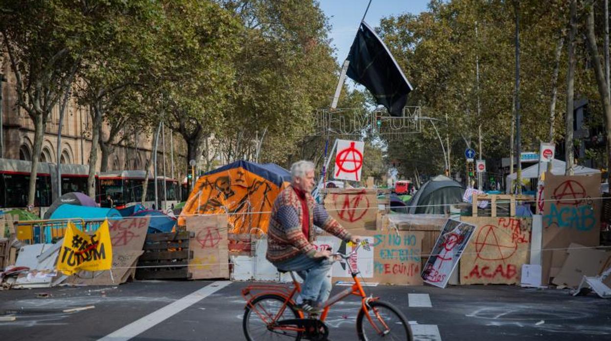 Imagen de la acampada, hace unos días