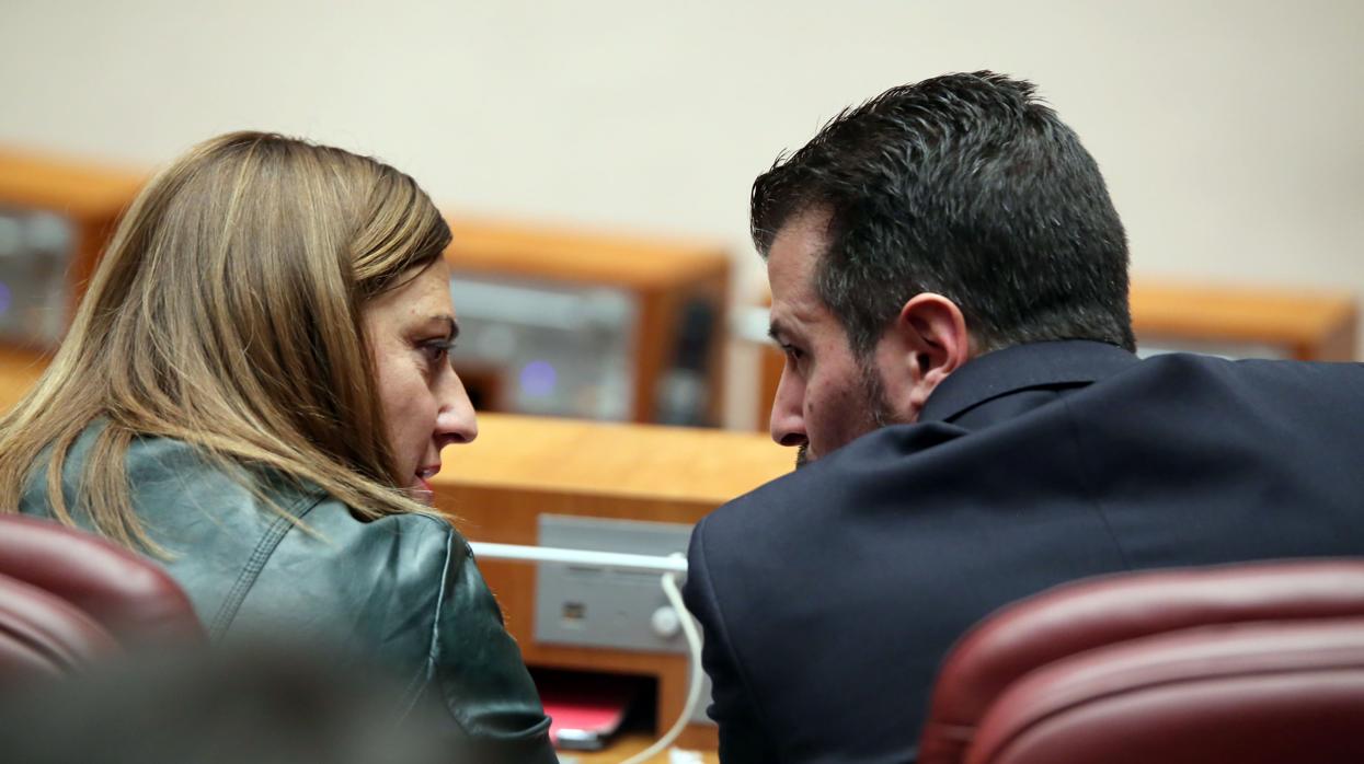 El portavoz del Grupo Socialista, Luis Tudanca, conversa con la viceportavoz, Virginia Casado, durante el Pleno de las Cortes