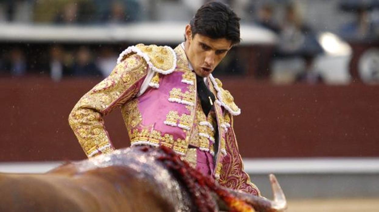 Ana Pedrero: La sentencia