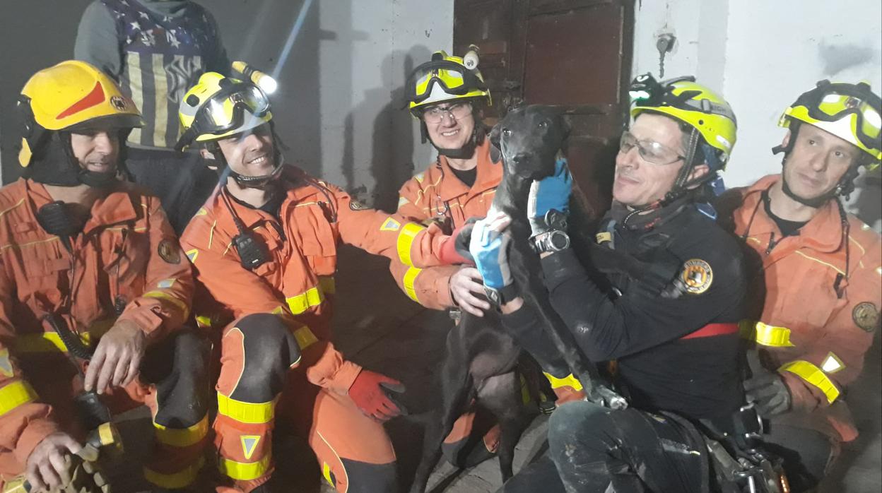 Efectivos de bomberos junto al perro rescatado