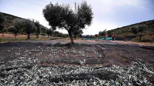 Detenido un delincuente reincidente por varias estafas en la compraventa de maquinaria agrícola