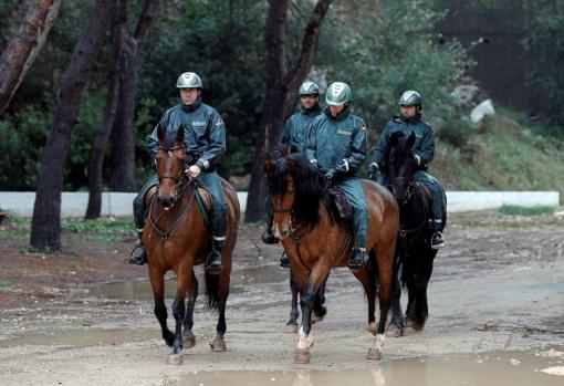 Guardias civiles de caballería en una zona de bosque