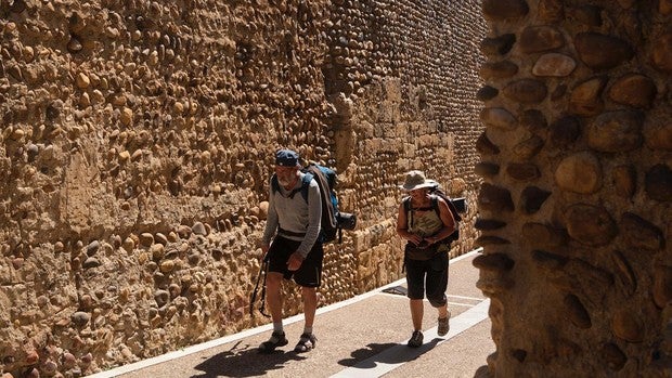 Los cien socios del Camino de Santiago