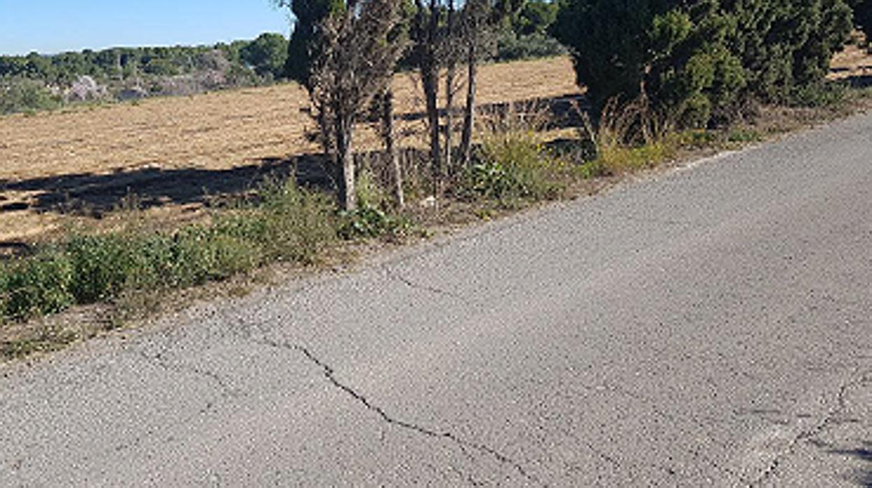 Estado actual del Camino del Palmar-Camarena que acondicionará la Diputación de Valencia