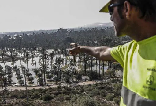 Campos inundados tras el temporal de septiembre en la Vega Baja