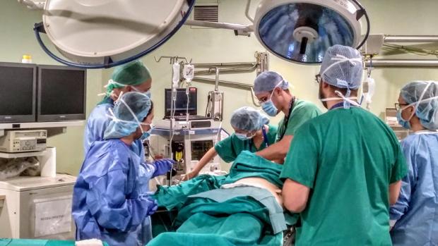 Un hospital de Tenerife practica simulaciones de intervenciones críticas con un robot como paciente