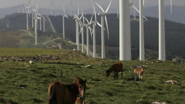 El viento toma el relevo del carbón