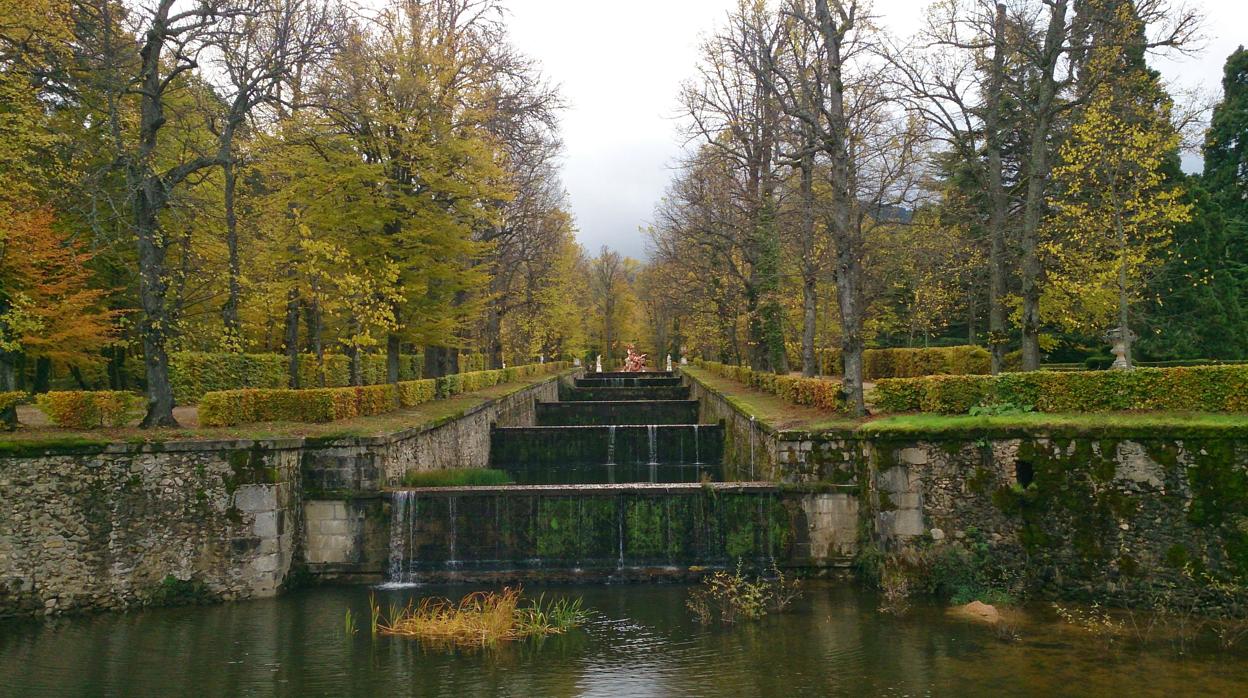 Cerrados los jardines del Palacio Real de La Granja para evaluar los daños causados por el viento