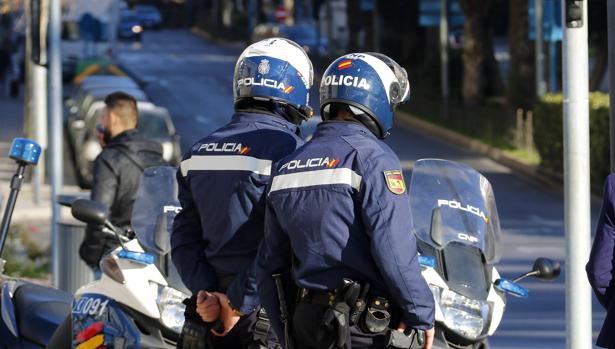 Duro golpe a la mafia china que usaba esclavos con 81 detenidos y 22.463 plantas de marihuana incautadas