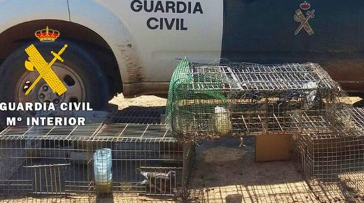 Jaulas en las que fueron capturadas las palomas en la A-IV