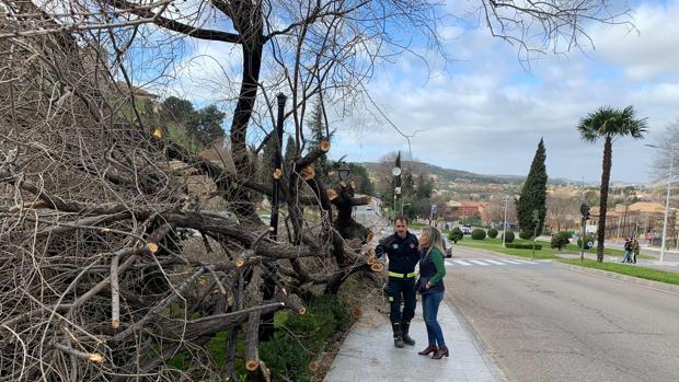 El Ayuntamiento cierra todos los parques de Toledo como medida de prevención