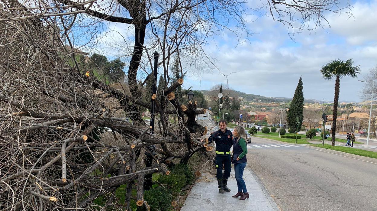 Milagros Tolón supervisa los daños del temporal en Alfonso VI