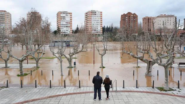 La Junta evalúa «si hay que pedir una declaración de zona catastrófica» por las inundaciones