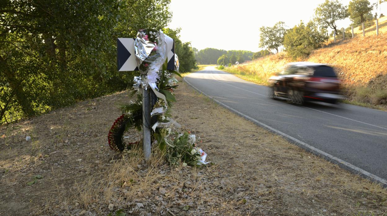 Flores próximas al lugar en el que se registró el accidente de Galisancho (Salamanca), el más grave registrado en 2019 en Castilla y León