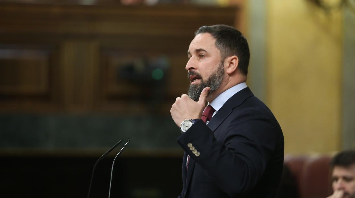 Santiago Abascal, en la tribuna del Congreso