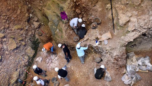El «Homo Antecessor» que habitó Atapuerca hace 800.000 años ya no tenía capacidad de trepar