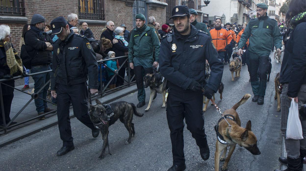 Durante las fiestas se bendice a los animales en la iglesia de San Antón