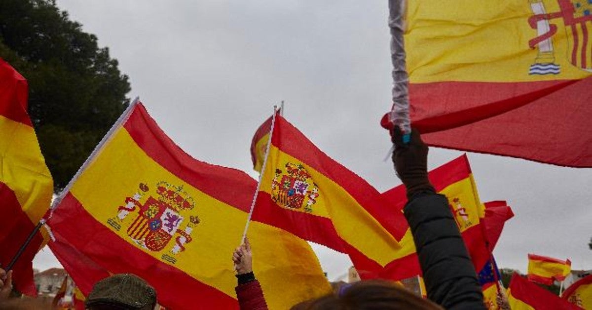 Banderas de España durante una concentración en Madrid