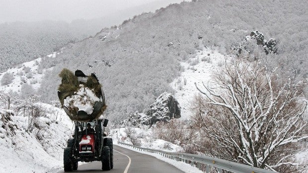 Alerta por nevadas en zonas de Burgos, León, Palencia y Soria