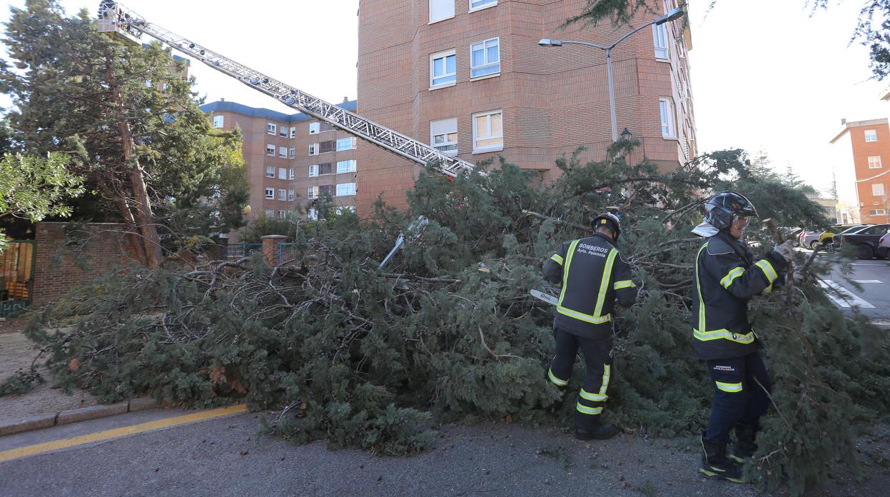 El viento de la borrasca «Gloria» obliga a cerrar parques, jardines y paseos