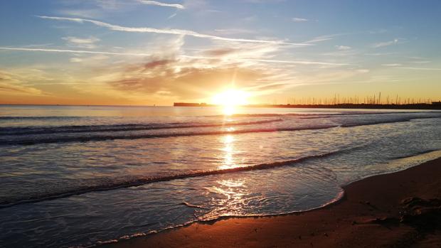 El tiempo en Valencia: sol y temperaturas de 25 grados para el primer  fin de semana de febrero