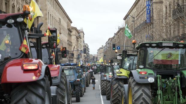 Los profesionales del campo toman las capitales en defensa del sector agrario