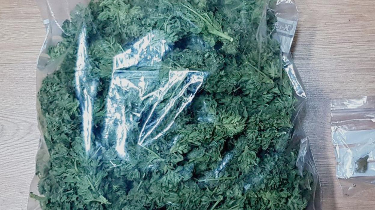 Imagen de archivo de marihuana confiscada por la Guardia Civil