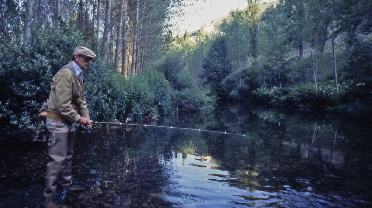 El escritor Miguel Delibes en uno de sus escenarios preferidos: pescando en la ribera del río Rudrón, cerca de Sedano