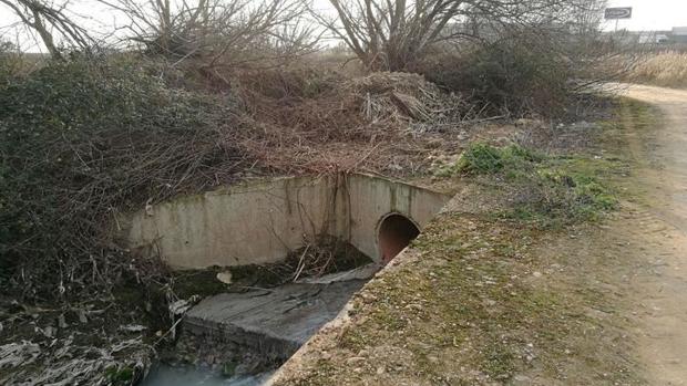 Denuncian el vertido ilegal de aguas residuales en un polígono de Cabanillas del Campo